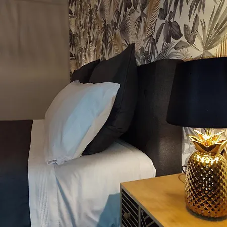 48- Recien Reformado 阿维莱斯